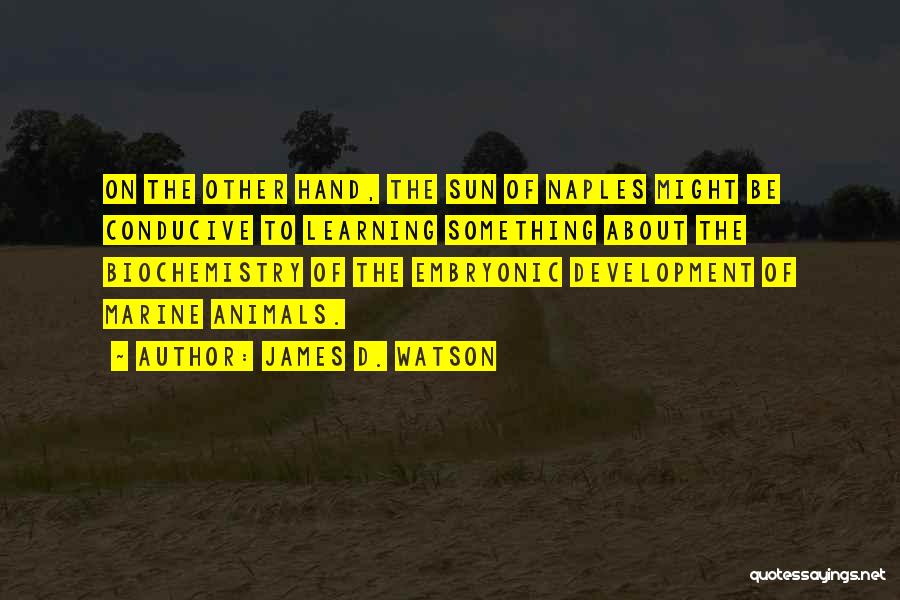 Conducive Learning Quotes By James D. Watson