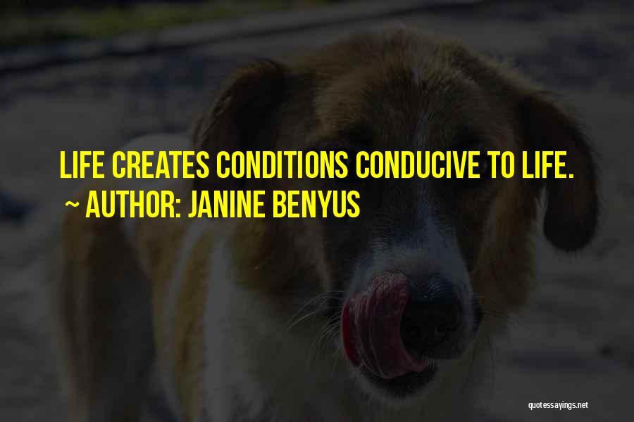 Conducive To Or Conducive For Quotes By Janine Benyus