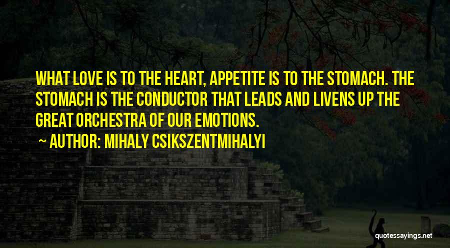 Conductor Orchestra Quotes By Mihaly Csikszentmihalyi