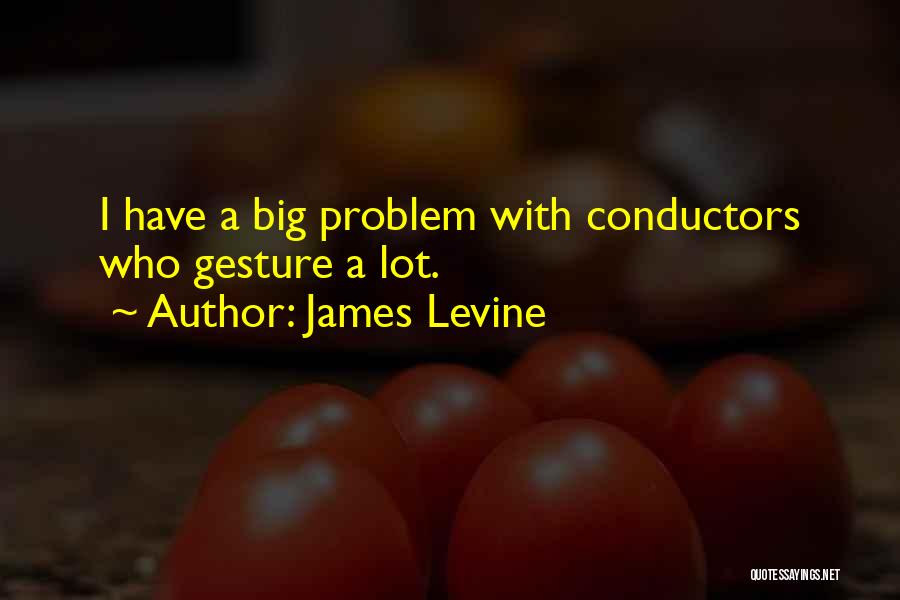 Conductors Quotes By James Levine