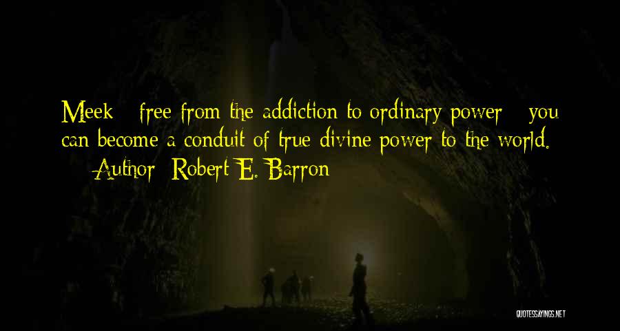 Conduit Quotes By Robert E. Barron