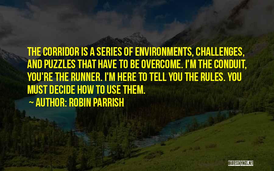 Conduit Quotes By Robin Parrish