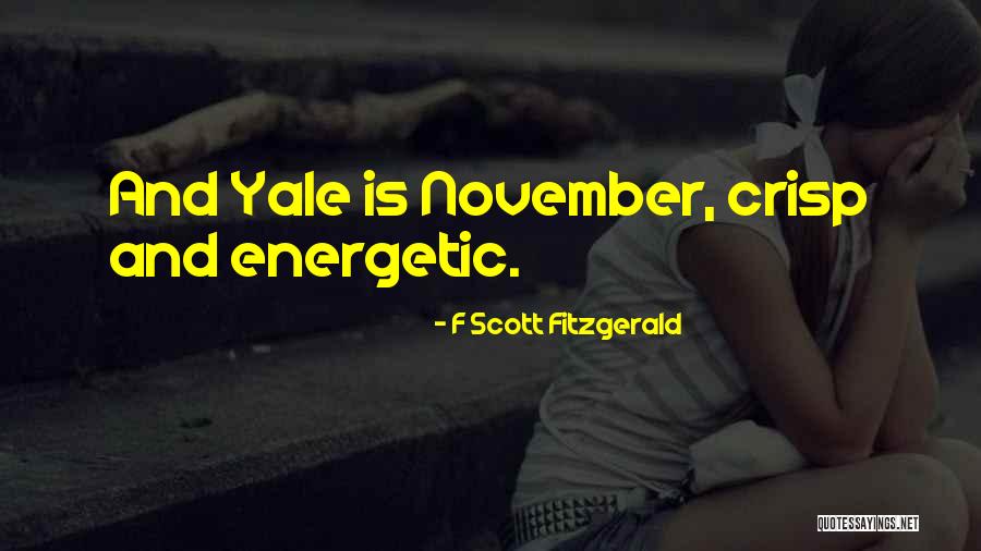 Conetta M7 Quotes By F Scott Fitzgerald