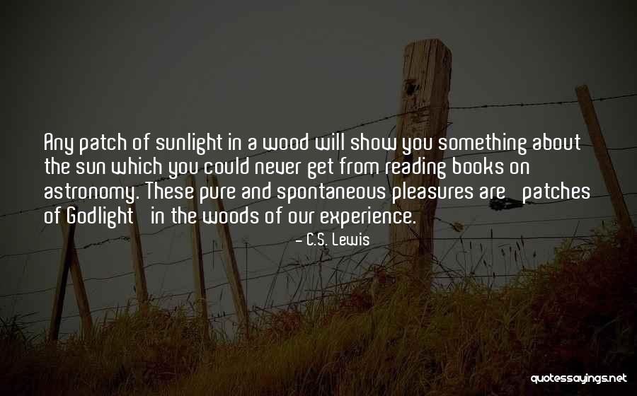 Conexo Significado Quotes By C.S. Lewis Conexo Significado Quotes By C.S. Lewis