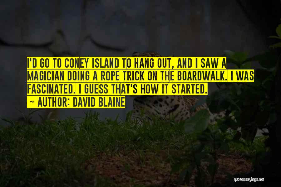 Coney Island Quotes By David Blaine