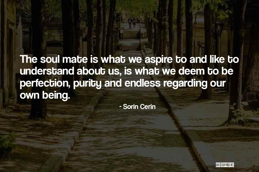 Confabulate Quotes By Sorin Cerin Confabulate Quotes By Sorin Cerin