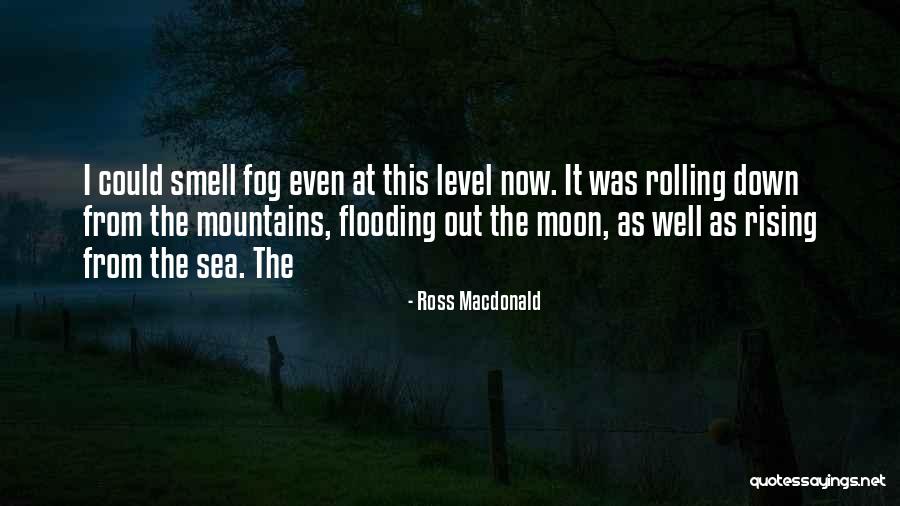 Confalone Sofa Quotes By Ross Macdonald Confalone Sofa Quotes By Ross Macdonald