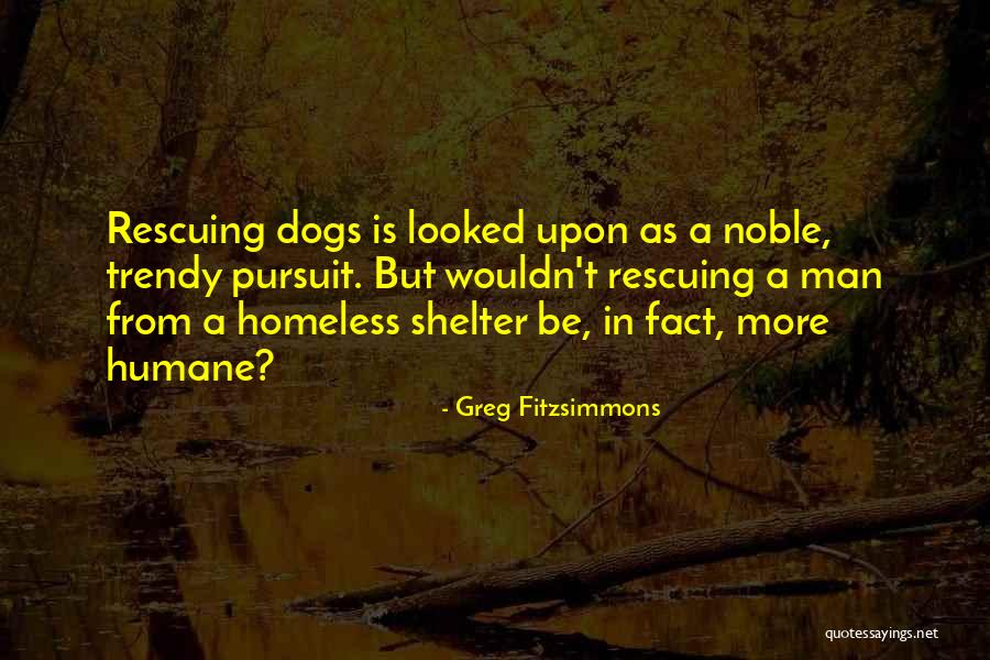 Confederations In The World Quotes By Greg Fitzsimmons