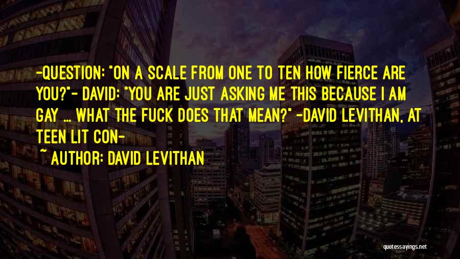 Conference Quotes By David Levithan