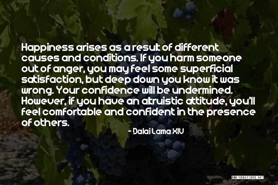 Confidence And Attitude Quotes By Dalai Lama XIV