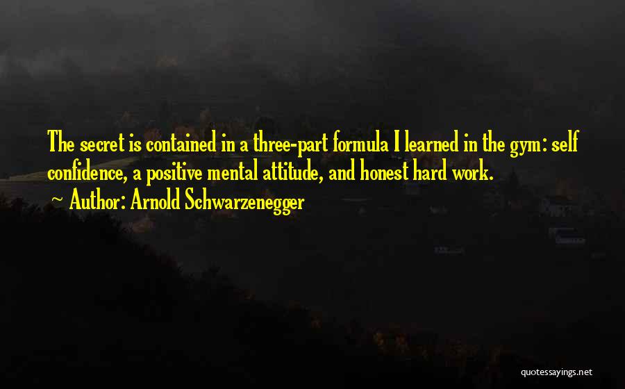 Confidence And Hard Work Quotes By Arnold Schwarzenegger