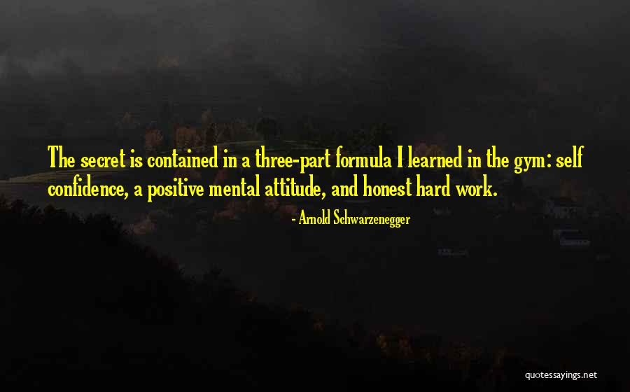 Confidence And Hard Work Quotes By Arnold Schwarzenegger