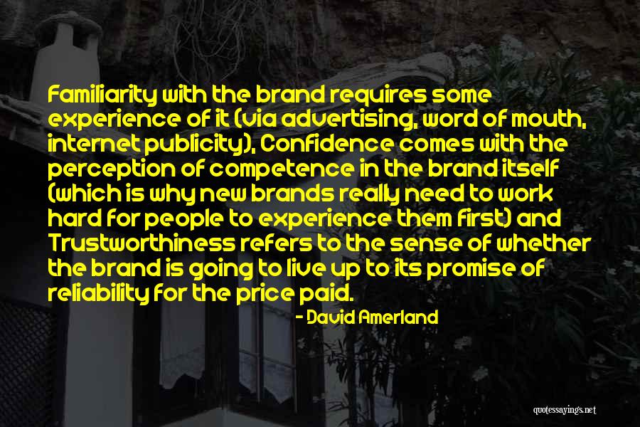 Confidence And Hard Work Quotes By David Amerland