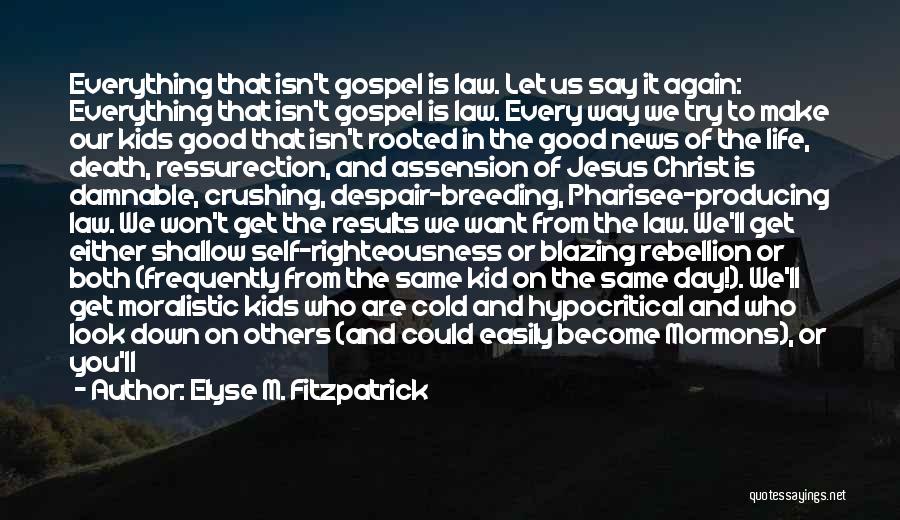Confidence In Christ Quotes By Elyse M. Fitzpatrick