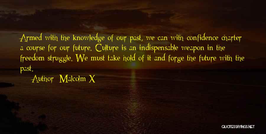 Confidence In The Future Quotes By Malcolm X