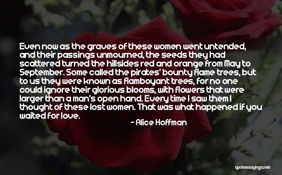 Confidencial Information Quotes By Alice Hoffman Confidencial Information Quotes By Alice Hoffman