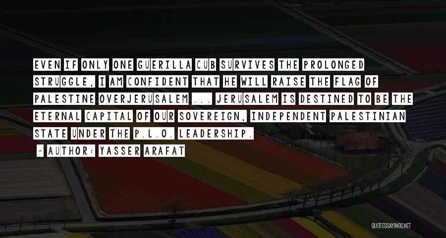 Confident And Independent Quotes By Yasser Arafat