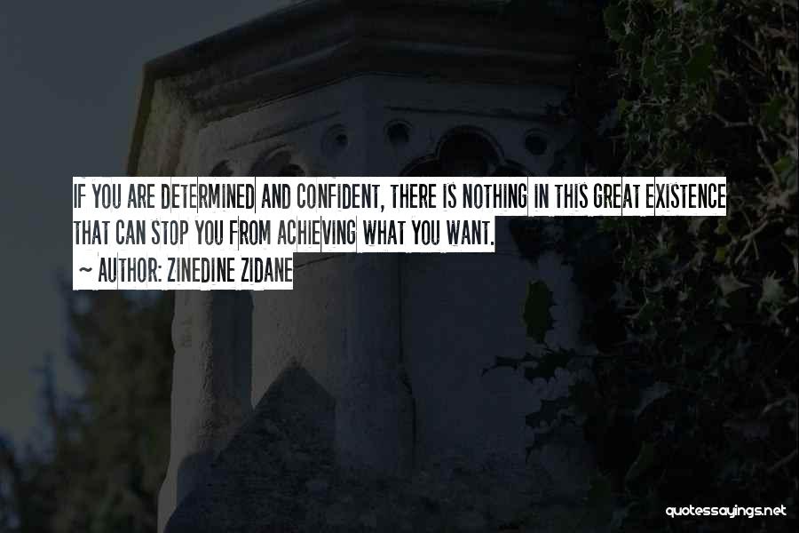 Confident Motivational Quotes By Zinedine Zidane
