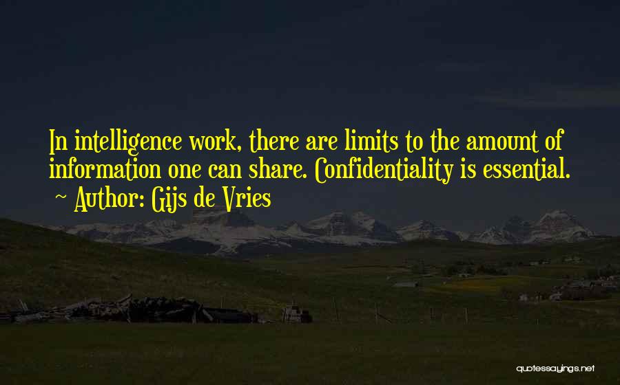 Confidentiality Quotes By Gijs De Vries