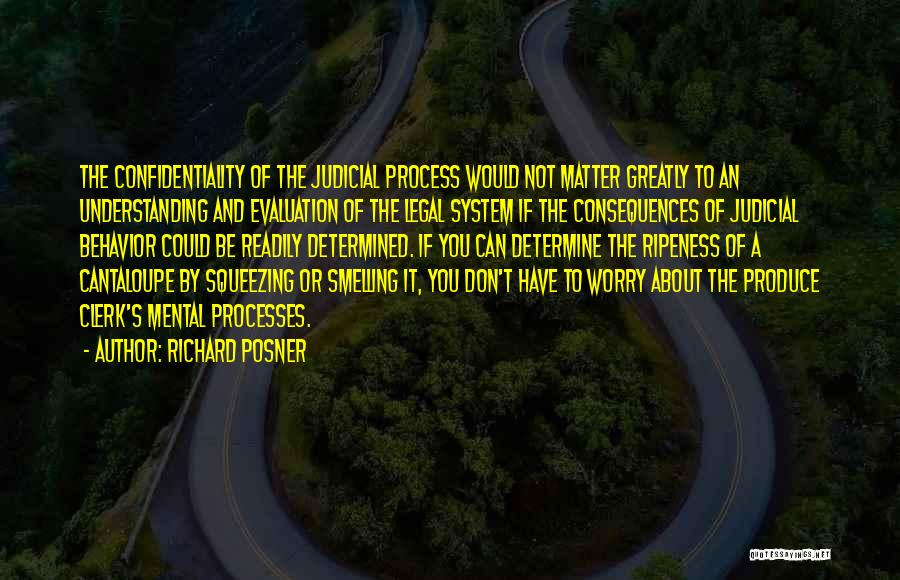 Confidentiality Quotes By Richard Posner