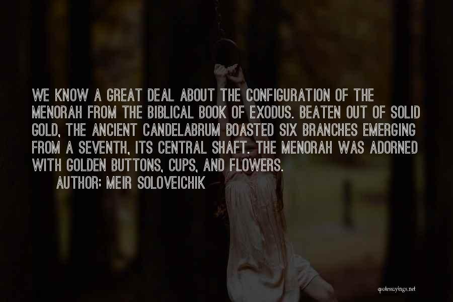 Configuration Quotes By Meir Soloveichik