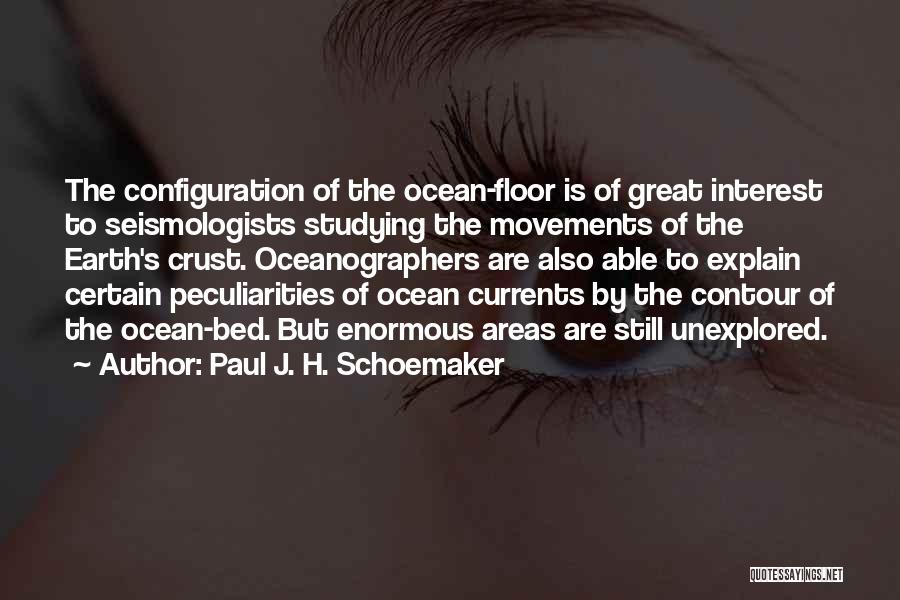 Configuration Quotes By Paul J. H. Schoemaker