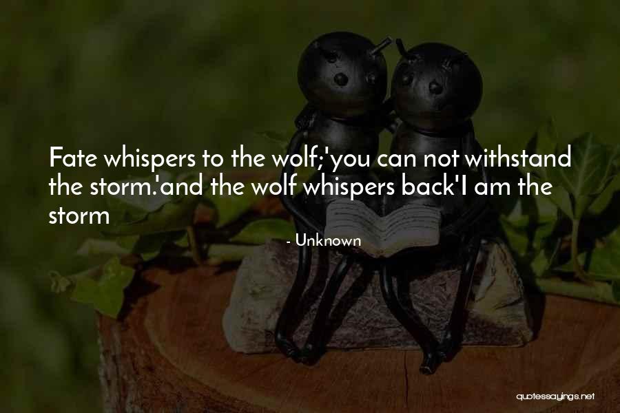 Confinada Significado Quotes By Unknown Confinada Significado Quotes By Unknown