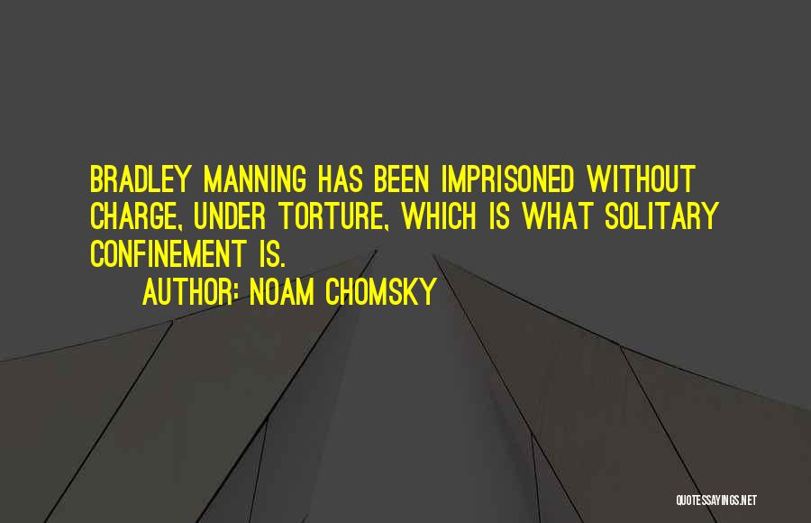 Confinement Quotes By Noam Chomsky