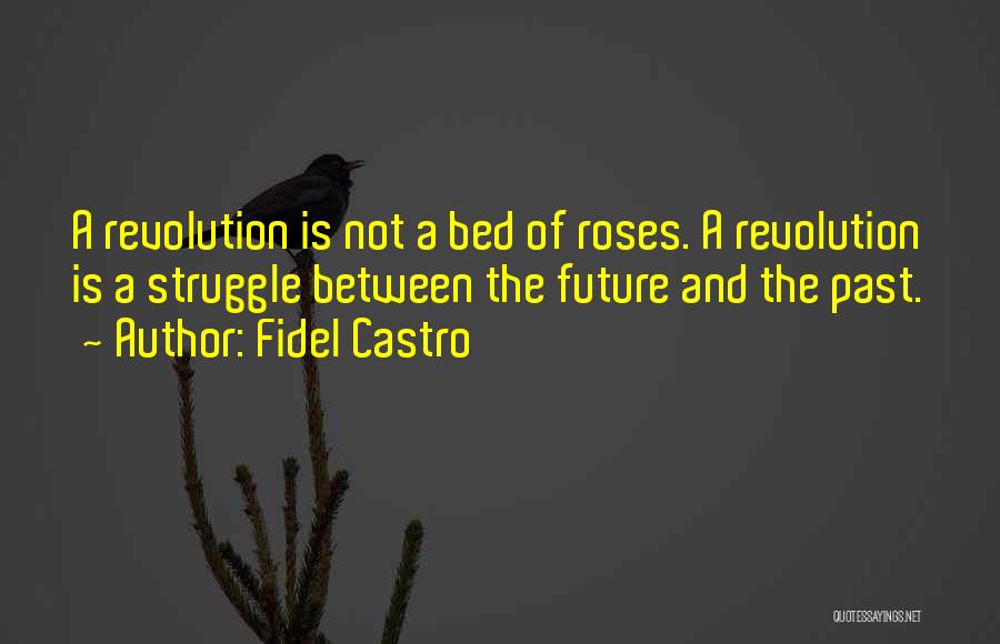 Conflict And Struggle Quotes By Fidel Castro