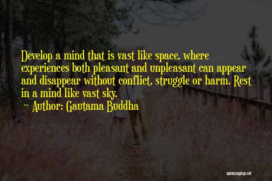 Conflict And Struggle Quotes By Gautama Buddha