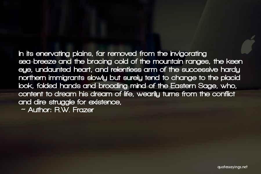 Conflict And Struggle Quotes By R.W. Frazer