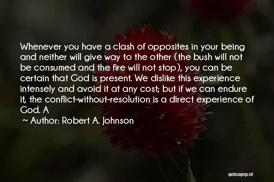 Conflict Resolution Quotes By Robert A. Johnson