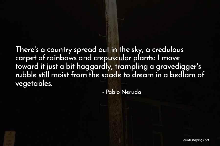Conflicting Feelings Quotes By Pablo Neruda Conflicting Feelings Quotes By Pablo Neruda