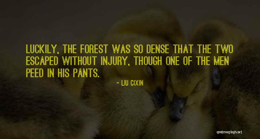 Confliction Synonyms Quotes By Liu Cixin Confliction Synonyms Quotes By Liu Cixin