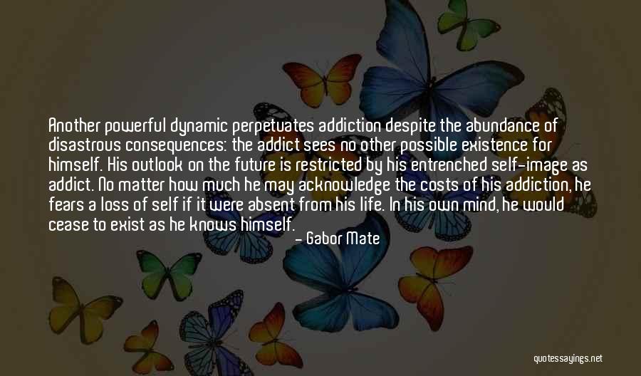 Conflit Quotes By Gabor Mate Conflit Quotes By Gabor Mate