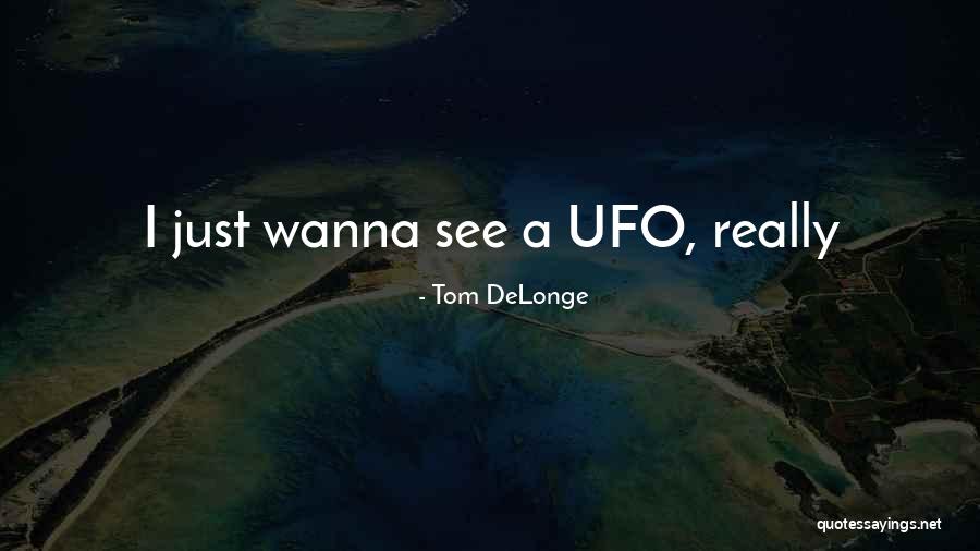 Confluences Summary Quotes By Tom DeLonge Confluences Summary Quotes By Tom DeLonge