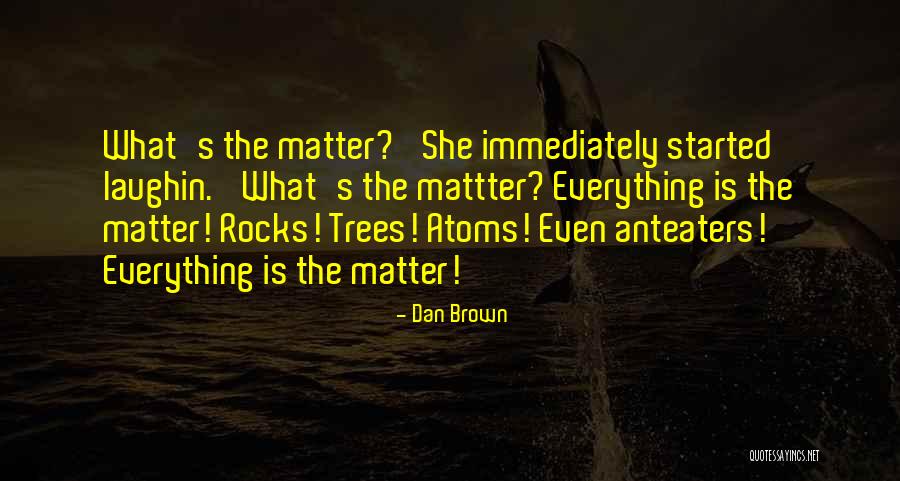 Conformista Sinonimo Quotes By Dan Brown Conformista Sinonimo Quotes By Dan Brown