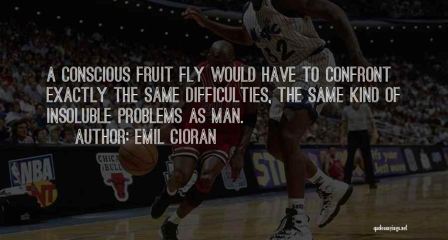 Confront Problems Quotes By Emil Cioran