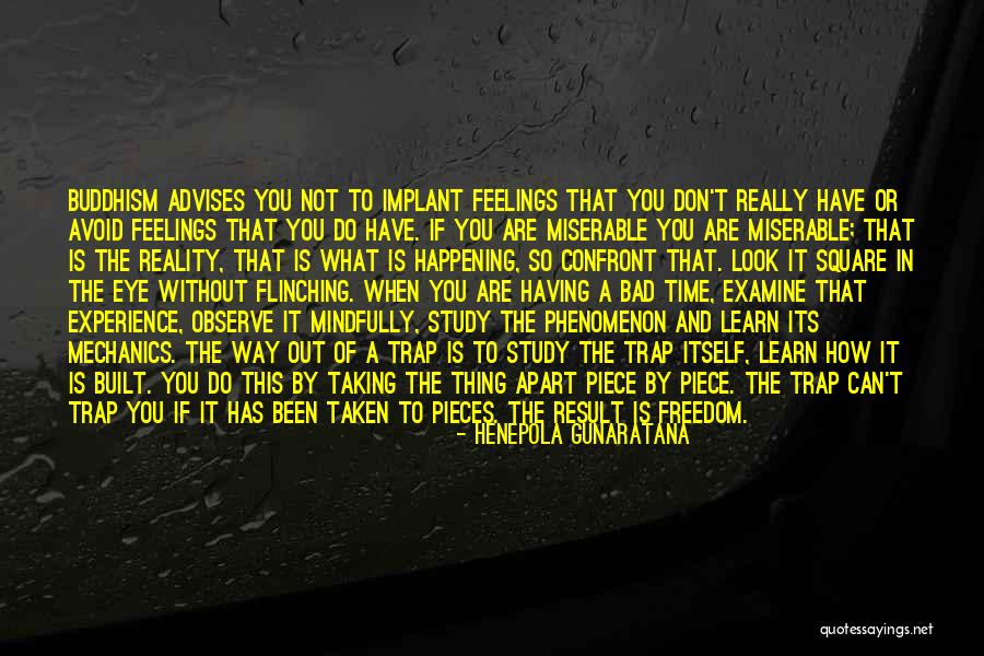 Confront Reality Quotes By Henepola Gunaratana Confront Reality Quotes By Henepola Gunaratana