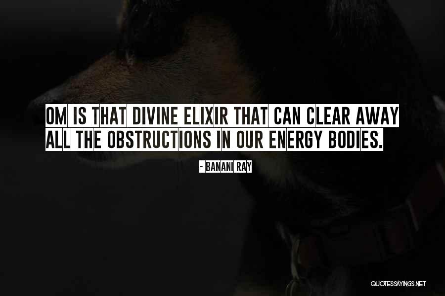 Confronting Christianity Quotes By Banani Ray Confronting Christianity Quotes By Banani Ray