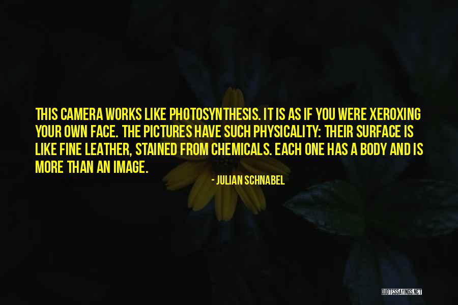 Confronting Christianity Quotes By Julian Schnabel Confronting Christianity Quotes By Julian Schnabel