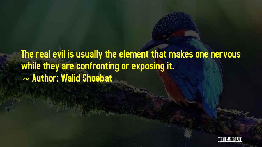 Confronting Evil Quotes By Walid Shoebat