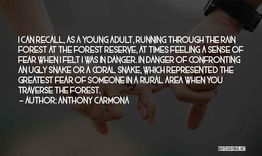 Confronting Fear Quotes By Anthony Carmona