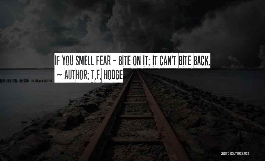 Confronting Fear Quotes By T.F. Hodge