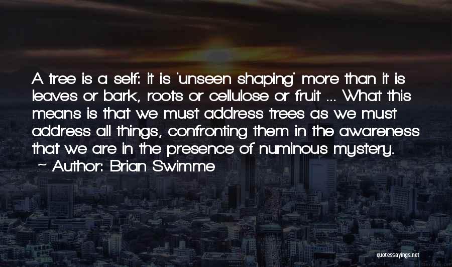 Confronting Others Quotes By Brian Swimme