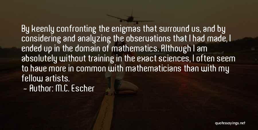 Confronting Others Quotes By M.C. Escher