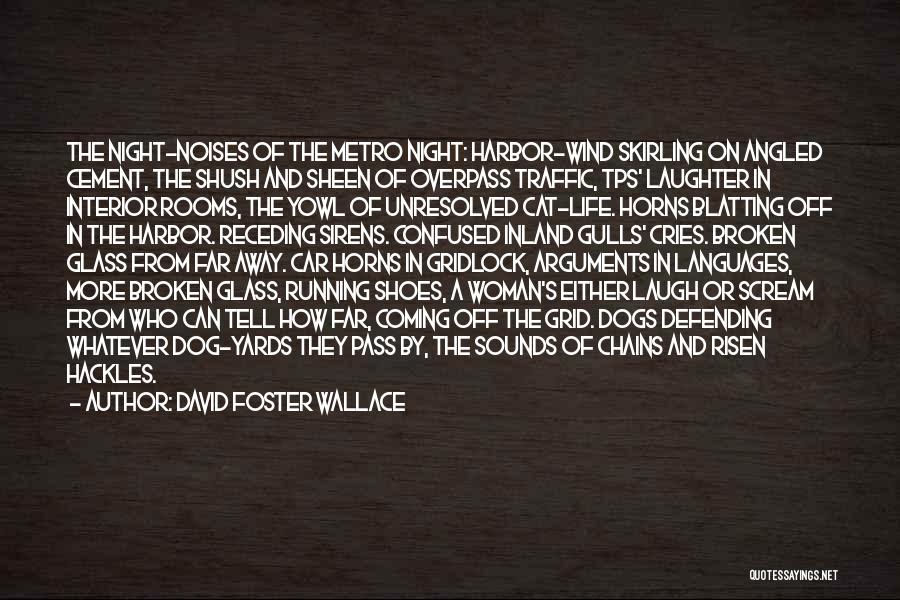 Confused And Broken Quotes By David Foster Wallace