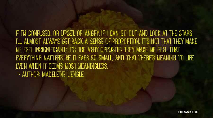 Confused And Upset Quotes By Madeleine L'Engle