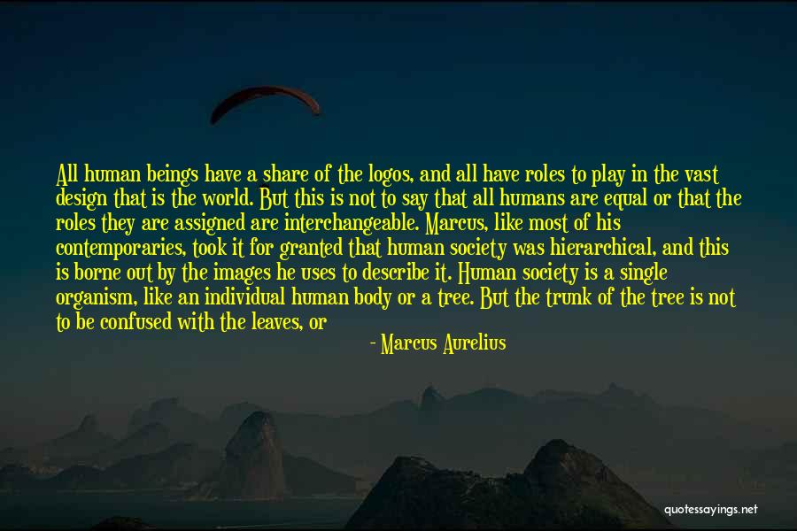 Confused Head Quotes By Marcus Aurelius Confused Head Quotes By Marcus Aurelius