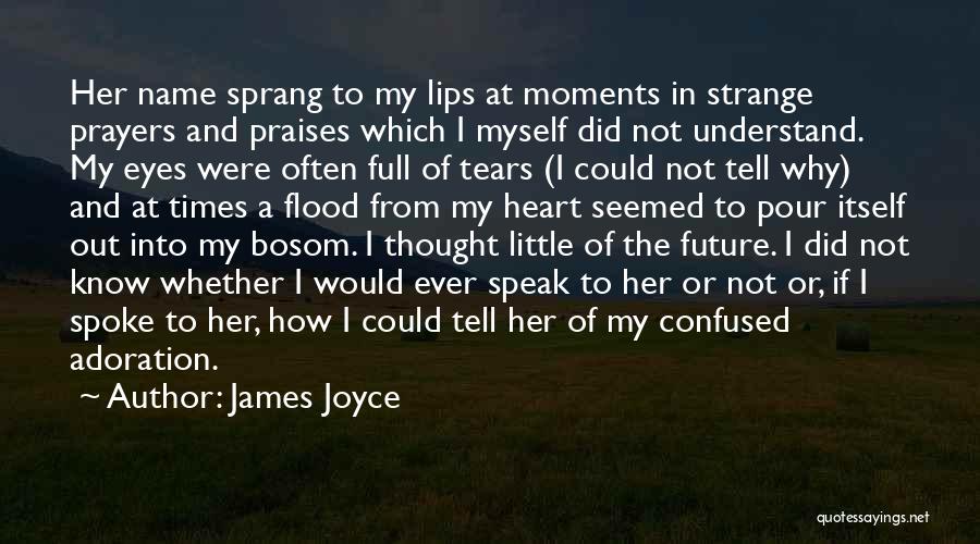 Confused Heart Quotes By James Joyce